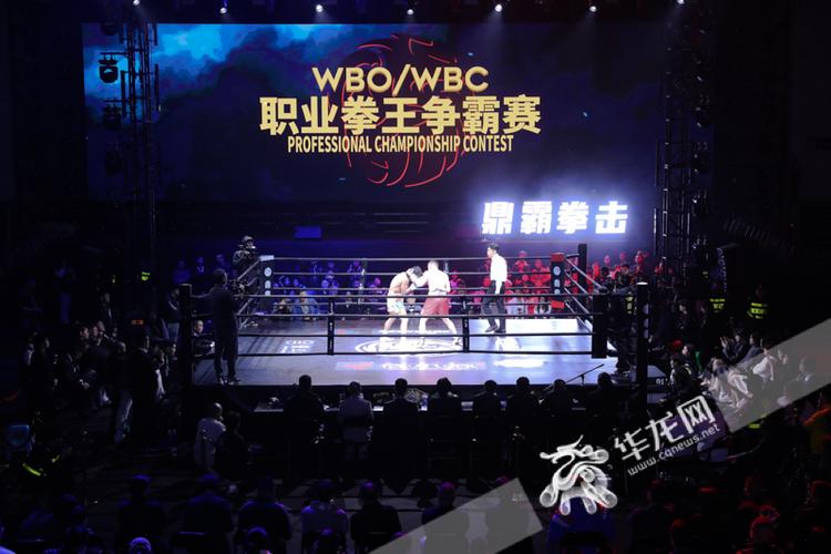 世界职业拳王争霸赛2023年1月